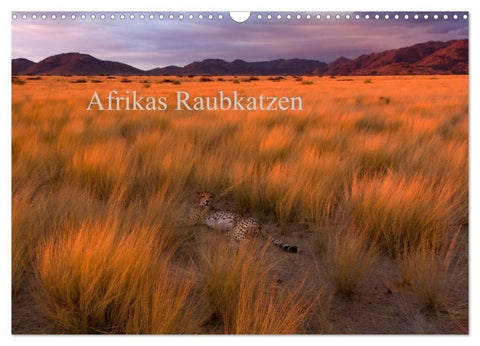 Afrikas Raubkatzen (Wandkalender 2027 DIN A3 quer), CALVENDO Monatskalender