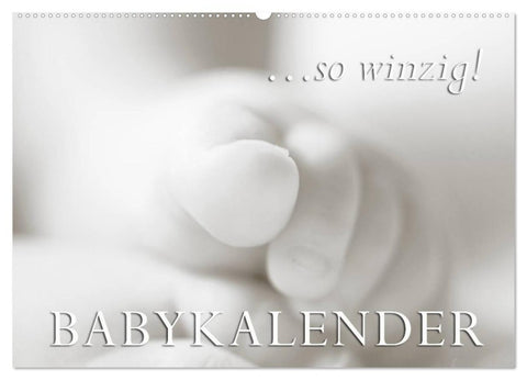 ...so winzig - Babykalender (Wandkalender 2026 DIN A2 quer), CALVENDO Monatskalender