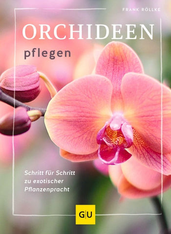 Orchideen pflegen