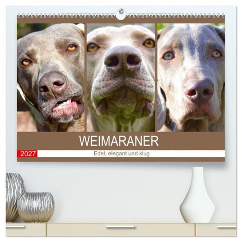 Weimaraner. Edel, elegant und klug (hochwertiger Premium Wandkalender 2027 DIN A2 quer), Kunstdruck in Hochglanz
