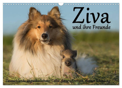 Ziva und ihre Freunde (Wandkalender 2026 DIN A3 quer), CALVENDO Monatskalender