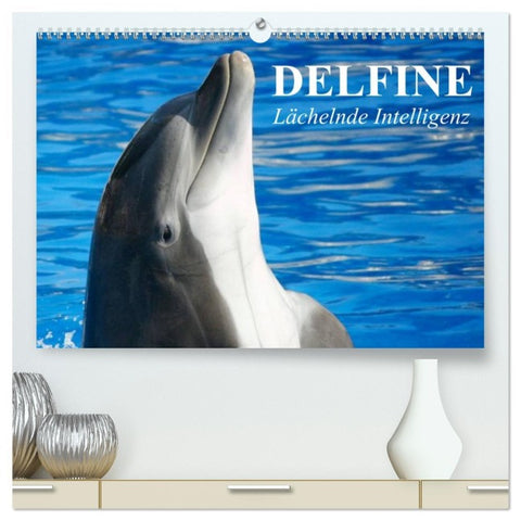 Delfine - Lächelnde Intelligenz (hochwertiger Premium Wandkalender 2026 DIN A2 quer), Kunstdruck in Hochglanz