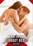 Seks in een groot bed