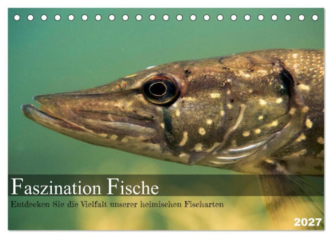 Faszination Fische (Tischkalender 2027 DIN A5 quer), CALVENDO Monatskalender
