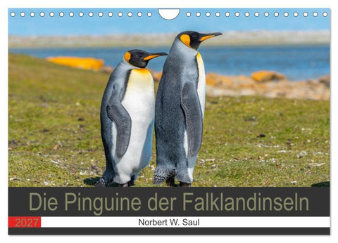 Die Pinguine der Falklandinseln (Wandkalender 2027 DIN A4 quer), CALVENDO Monatskalender