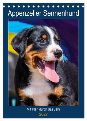 Appenzeller Sennenhund - Mit Plan durch das Jahr (Tischkalender 2027 DIN A5 hoch), CALVENDO Monatskalender