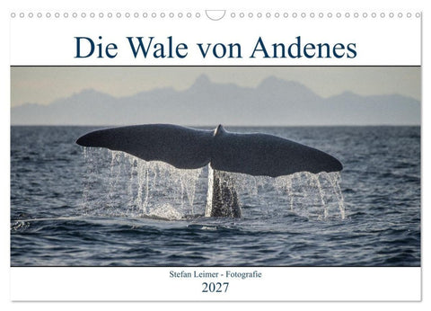 Die Wale von Andenes (Wandkalender 2027 DIN A3 quer), CALVENDO Monatskalender