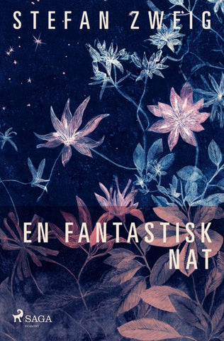 En fantastisk nat