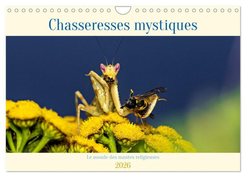 Chasseresses mystiques (Calendrier mural 2026 DIN A4 vertical), CALVENDO calendrier mensuel