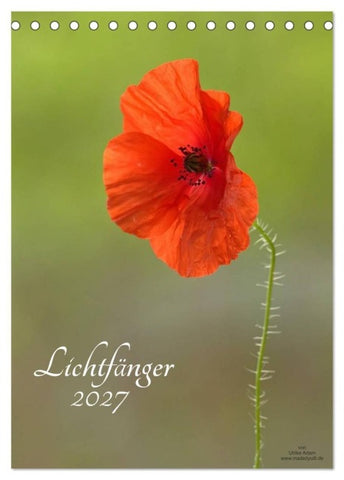 Lichtfänger (Tischkalender 2027 DIN A5 hoch), CALVENDO Monatskalender