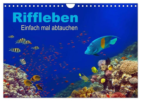 Riffleben - Einfach mal abtauchen (Wandkalender 2027 DIN A4 quer), CALVENDO Monatskalender