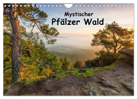 Mystischer Pfälzer Wald (Wandkalender 2027 DIN A4 quer), CALVENDO Monatskalender