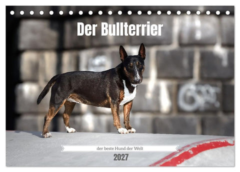 Der Bullterrier der beste Hund der Welt (Tischkalender 2027 DIN A5 quer), CALVENDO Monatskalender