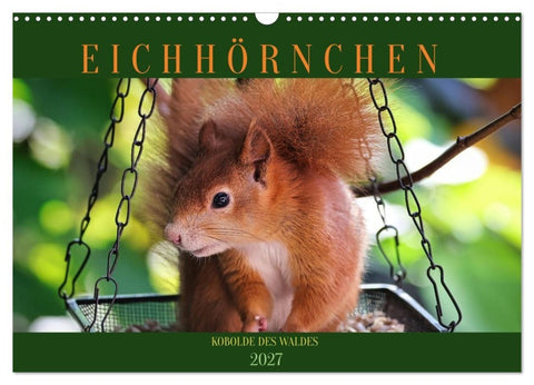 Eichhörnchen, Kobolde des Waldes (Wandkalender 2027 DIN A3 quer), CALVENDO Monatskalender