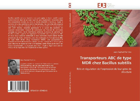 Transporteurs ABC de type MDR chez Bacillus subtilis