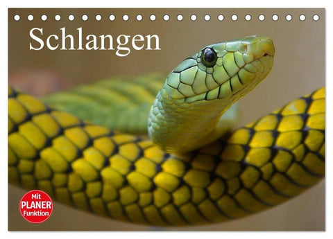 Schlangen (Tischkalender 2027 DIN A5 quer), CALVENDO Monatskalender
