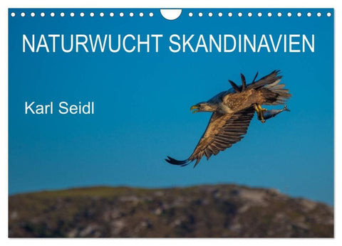 Naturwucht Skandinavien (Wandkalender 2027 DIN A4 quer), CALVENDO Monatskalender