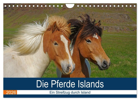 Die Pferde Islands - Ein Streifzug durch Island (Wandkalender 2026 DIN A4 quer), CALVENDO Monatskalender