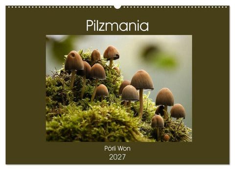 Pilzmania (Wandkalender 2027 DIN A2 quer), CALVENDO Monatskalender