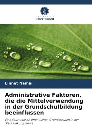 Administrative Faktoren, die die Mittelverwendung in der Grundschulbildung beeinflussen