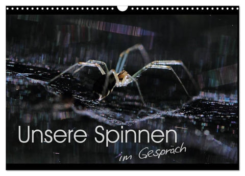 Unsere Spinnen - im Gespräch (Wandkalender 2026 DIN A3 quer), CALVENDO Monatskalender