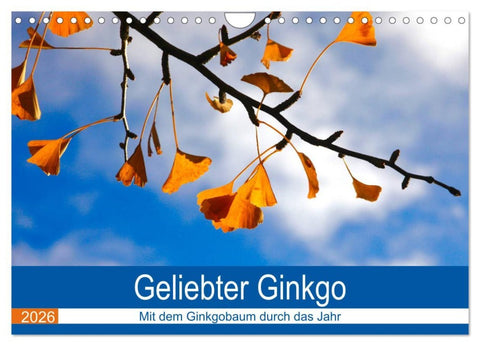 Geliebter Ginkgo (Wandkalender 2026 DIN A4 quer), CALVENDO Monatskalender