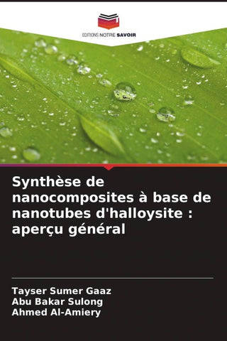 Synthèse de nanocomposites à base de nanotubes d'halloysite : aperçu général
