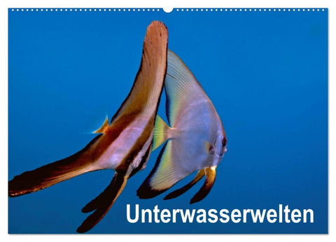 Unterwasserwelten (Wandkalender 2026 DIN A2 quer), CALVENDO Monatskalender