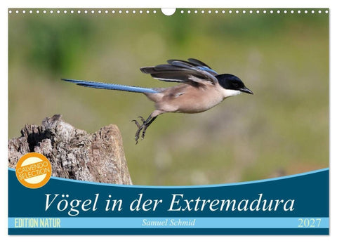 Vögel in der Extremadura (Wandkalender 2027 DIN A3 quer), CALVENDO Monatskalender