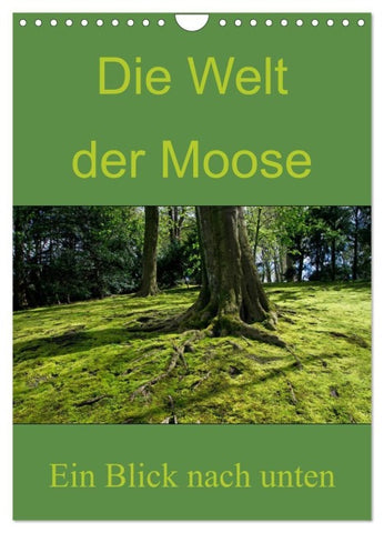 Die Welt der Moose. Ein Blick nach unten (Wandkalender 2027 DIN A4 hoch), CALVENDO Monatskalender