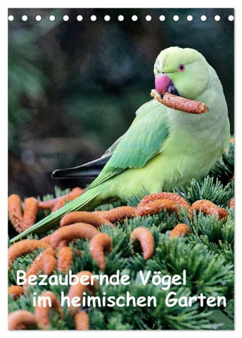 Bezaubernde Vögel im heimischen Garten (Tischkalender 2027 DIN A5 hoch), CALVENDO Monatskalender