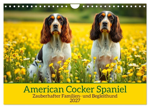 American Cocker Spaniel (Wandkalender 2027 DIN A4 quer), CALVENDO Monatskalender
