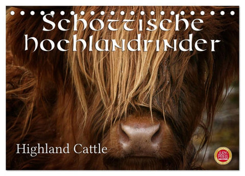 Schottische Hochlandrinder - Highland Cattle (Tischkalender 2026 DIN A5 quer), CALVENDO Monatskalender