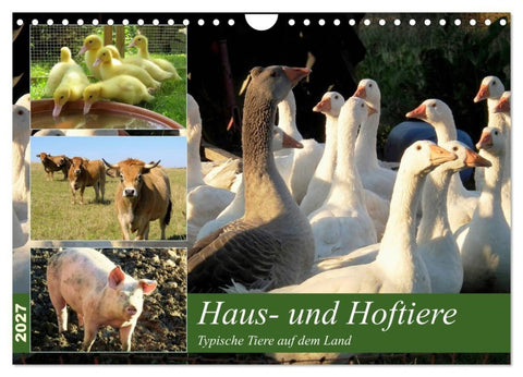 Haus- und Hoftiere (Wandkalender 2027 DIN A4 quer), CALVENDO Monatskalender