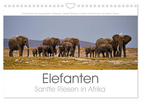 Elefanten - Sanfte Riesen in Afrika (Wandkalender 2027 DIN A4 quer), CALVENDO Monatskalender