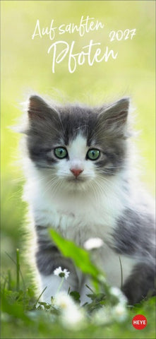 Katzen slim - Auf sanften Pfoten Kalender 2027