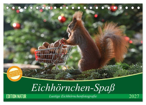 Eichhörnchen-Spaß (Tischkalender 2027 DIN A5 quer), CALVENDO Monatskalender