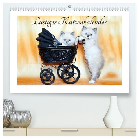Lustiger Katzenkalender (hochwertiger Premium Wandkalender 2027 DIN A2 quer), Kunstdruck in Hochglanz