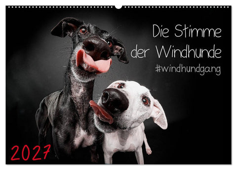 Die Stimme der Windhunde (Wandkalender 2027 DIN A2 quer), CALVENDO Monatskalender