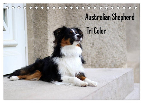 Australian Shepherd Tri Color (Tischkalender 2027 DIN A5 quer), CALVENDO Monatskalender