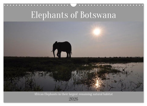 Elephants of Botswana (Wall Calendar 2026 DIN A3 landscape), CALVENDO 12 Month Wall Calendar