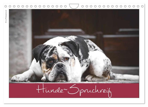 Hunde-Spruchreif (Wandkalender 2026 DIN A4 quer), CALVENDO Monatskalender