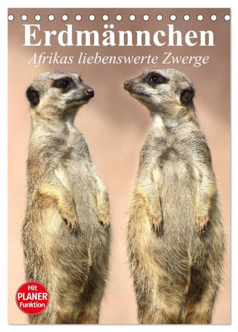 Erdmännchen - Afrikas liebenswerte Zwerge (Tischkalender 2026 DIN A5 hoch), CALVENDO Monatskalender