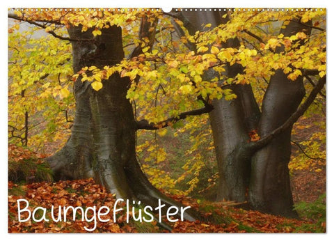 Baumgeflüster (Wandkalender 2027 DIN A2 quer), CALVENDO Monatskalender