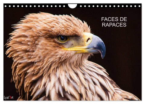 FACES DE RAPACES (Calendrier mural 2027 DIN A4 vertical), CALVENDO calendrier mensuel