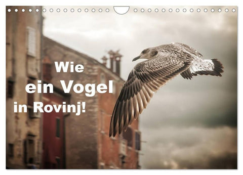 Wie ein Vogel in Rovinj! (Wandkalender 2027 DIN A4 quer), CALVENDO Monatskalender
