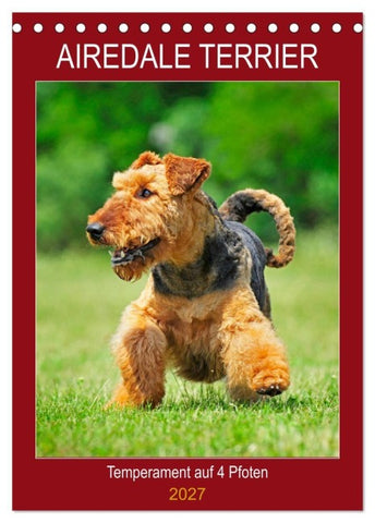 Airedale Terrier - Temperament auf 4 Pfoten (Tischkalender 2027 DIN A5 hoch), CALVENDO Monatskalender