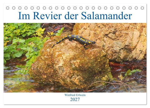 Im Revier der Salamander (Tischkalender 2027 DIN A5 quer), CALVENDO Monatskalender
