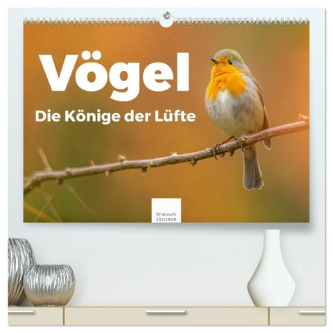 Vögel - Die Könige der Lüfte (hochwertiger Premium Wandkalender 2026 DIN A2 quer), Kunstdruck in Hochglanz