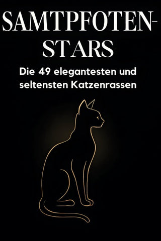 Samtpfoten-Stars